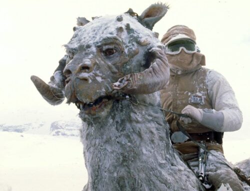 25 of the Coolest, Cutest and Creepiest of Star Wars Creatures